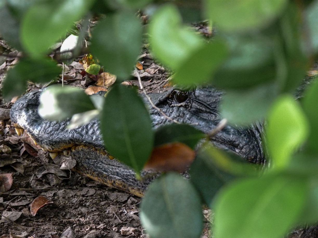 tipps Belize, informationen Belize, empfehlungen Belize, erfahrungen Belize