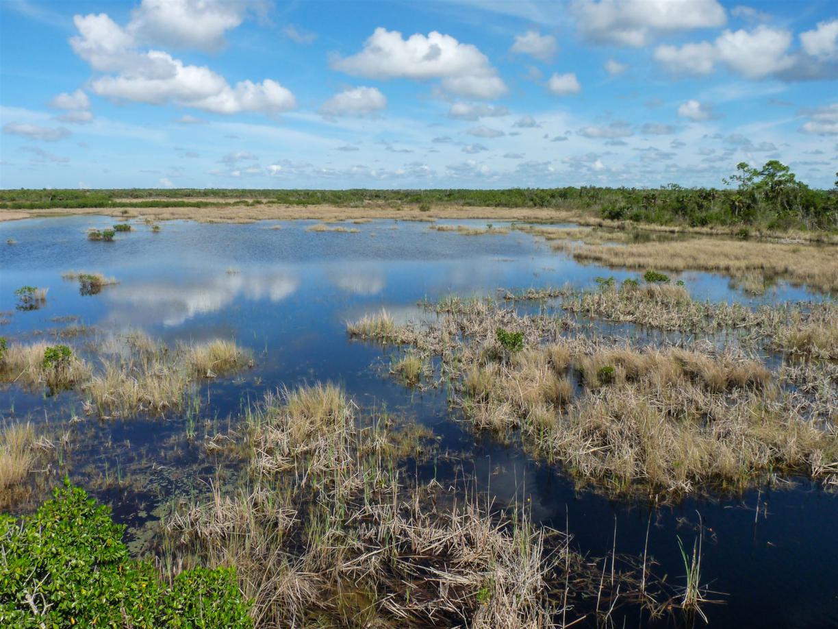 reise Costa Rica , nach Costa Rica reisen