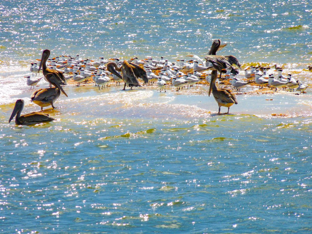 reise Costa Rica, nach Costa Rica reisen