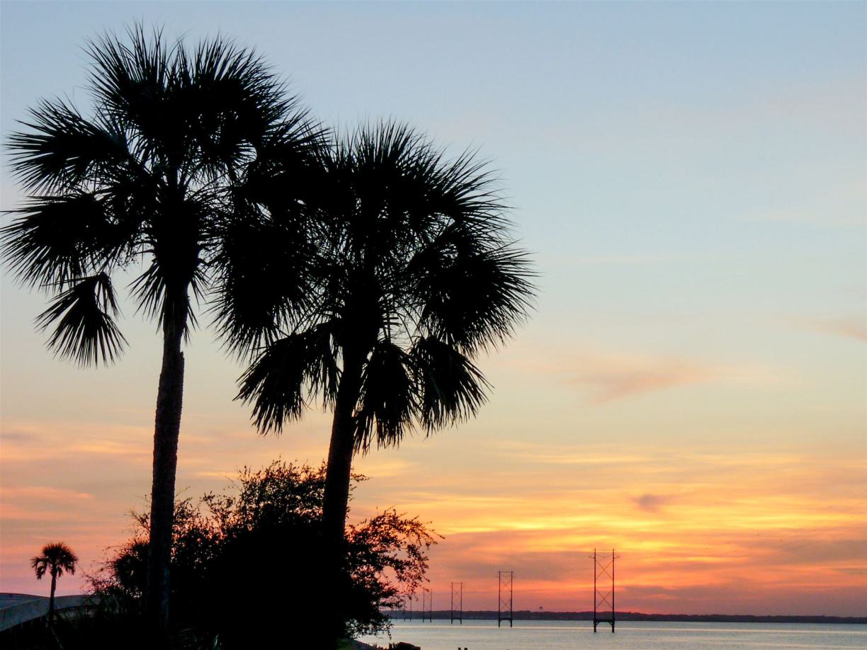 reise Dominica, nach Dominica reisen