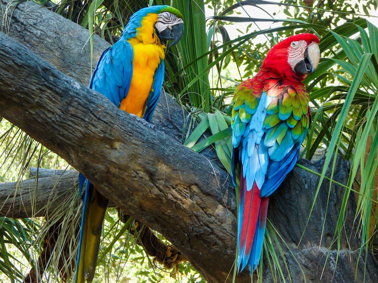 reise Guatemala, nach Guatemala reisen