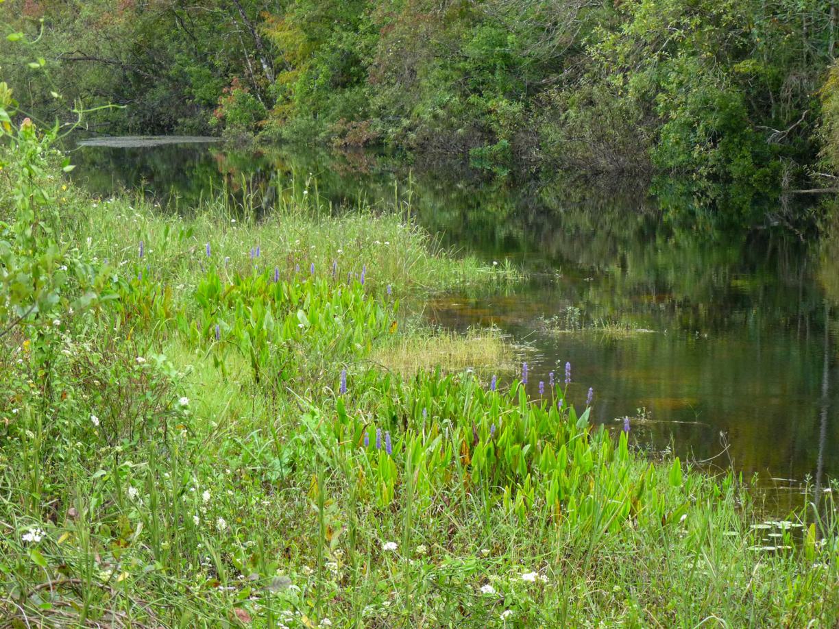 reise Kolumbien, nach Kolumbien reisen