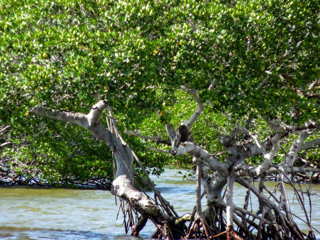 tipps Nicaragua, informationen Nicaragua, empfehlungen Nicaragua, erfahrungen Nicaragua