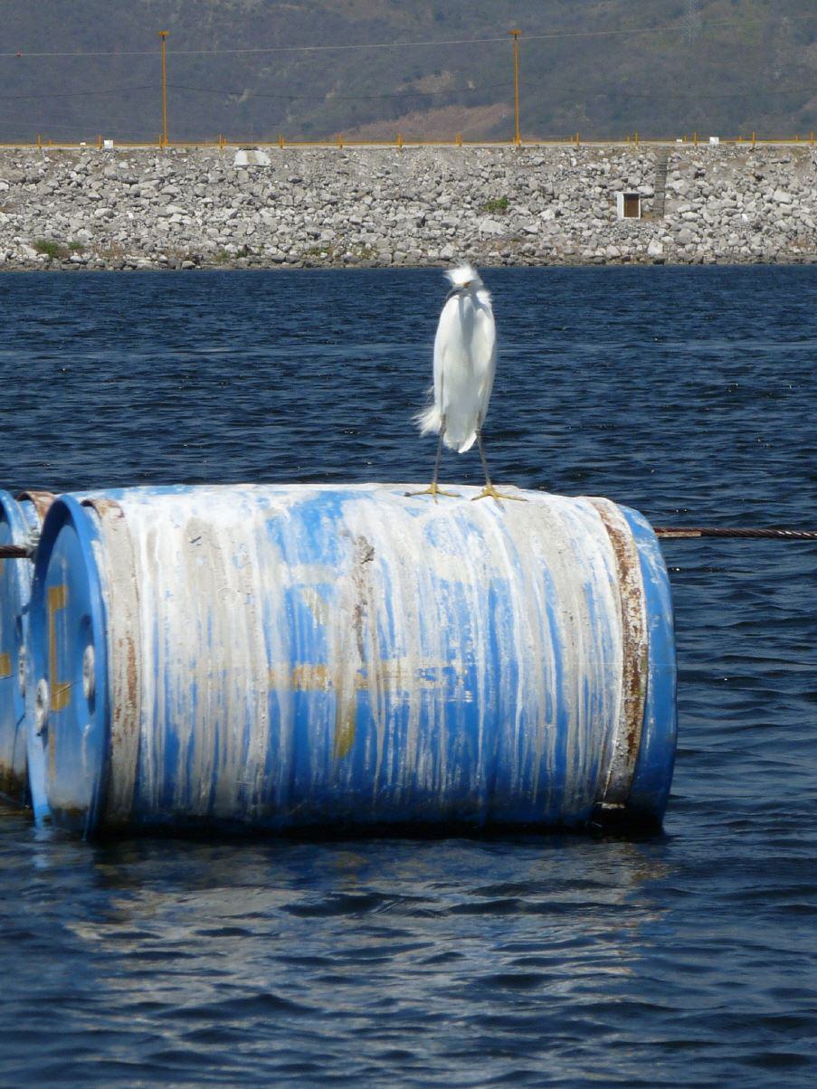 Bewohner der Karibik