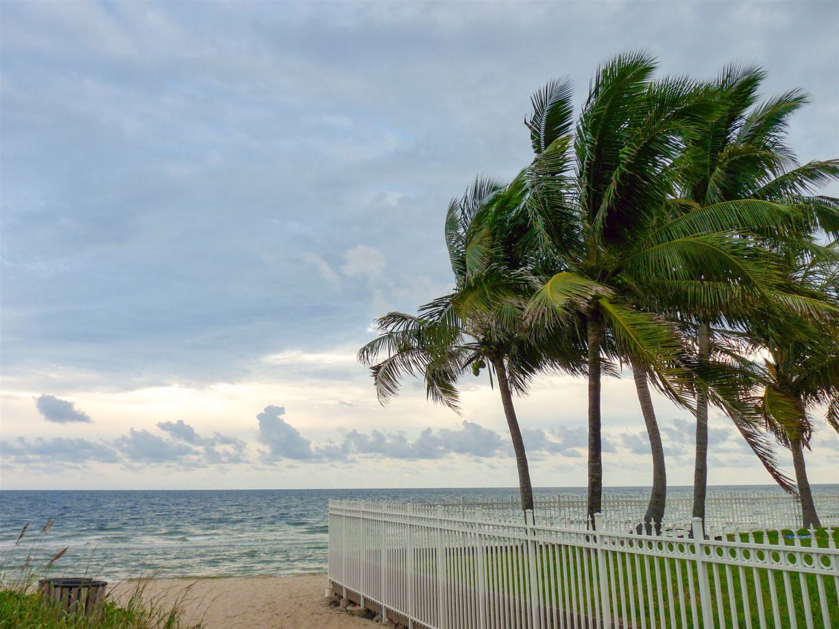 Einer der wichtigsten Tipps für Saba ist, die Abgeschiedenheit der Insel zu genießen und sich zu entspannen. tipps saba, informationen saba, empfehlungen saba, erfahrungen saba