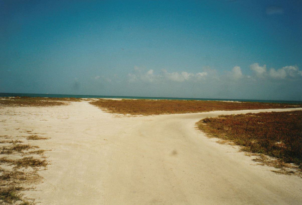 Alle Wege führen zum Karibik-Strand