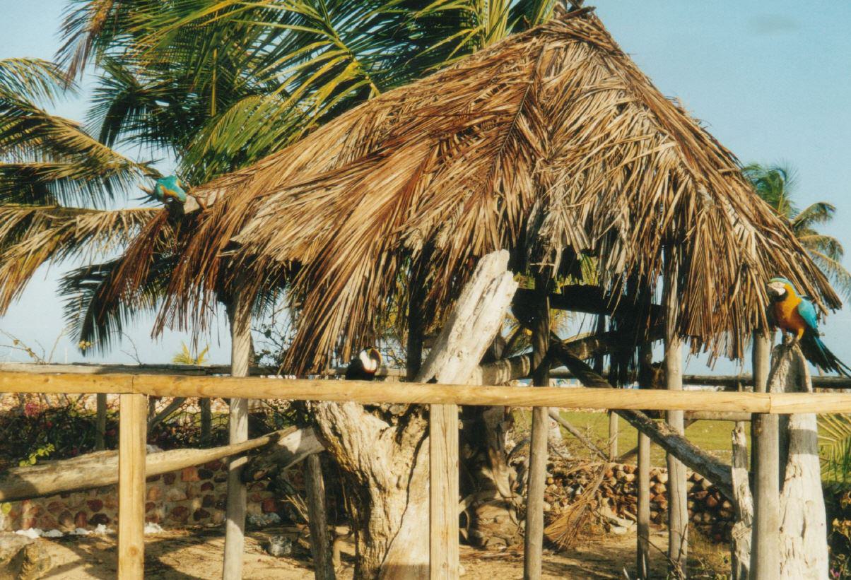 Hotels in der Karibik