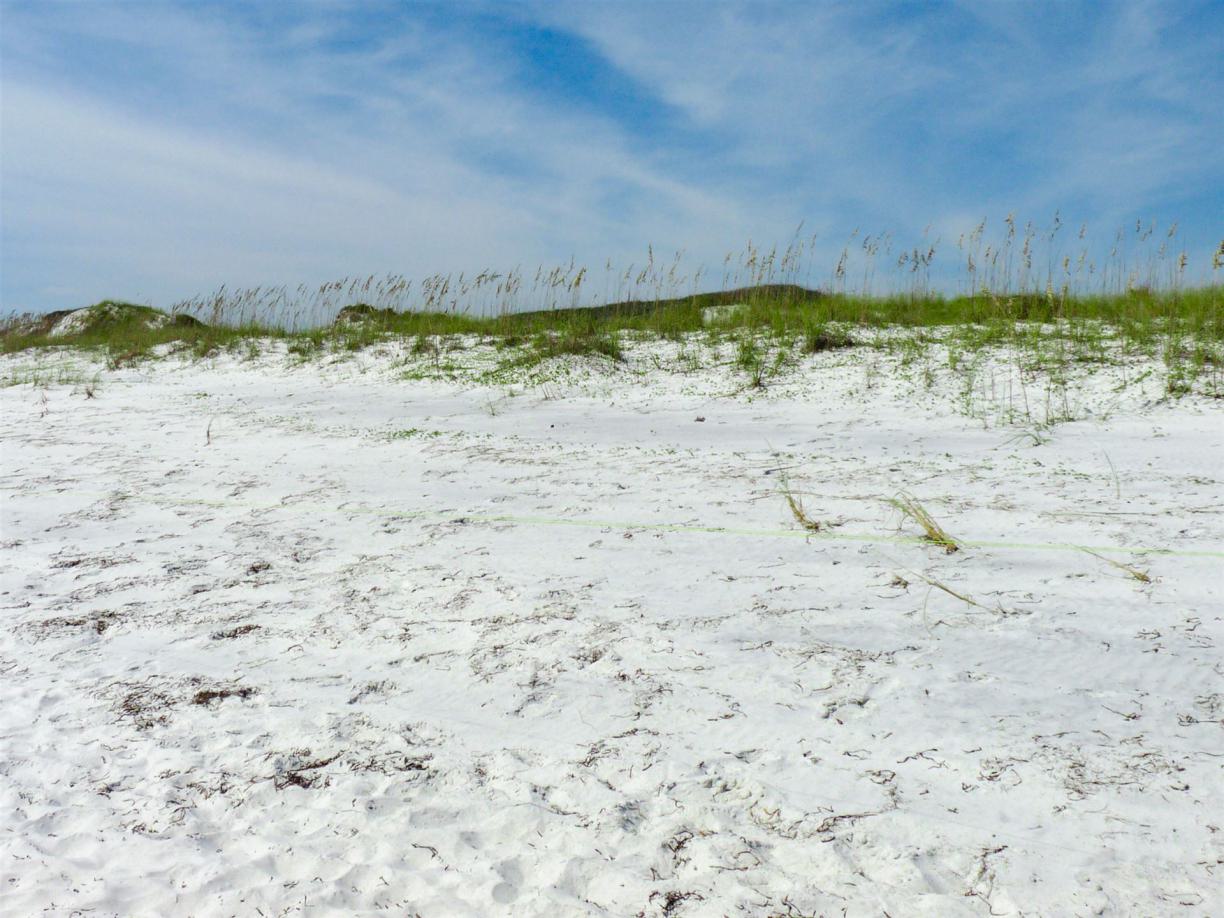 Sint maarten, empfehlungen, tipps, informationen, erfahrungen