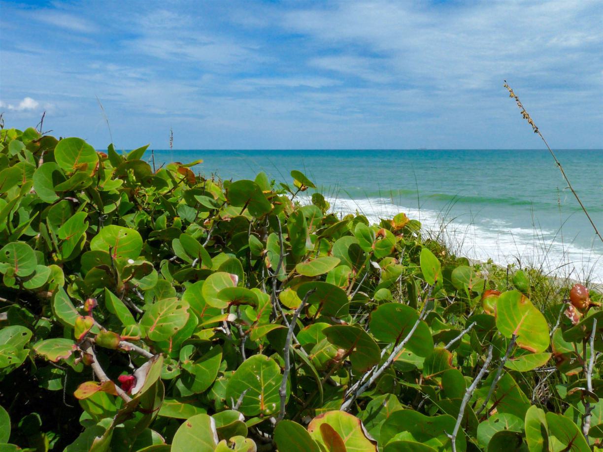 tipps St. Vincent und die Grenadinen, informationen St. Vincent und die Grenadinen, St. Vincent und die Grenadinen empfehlungen